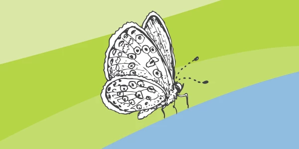 Introduction to trauma-informed care