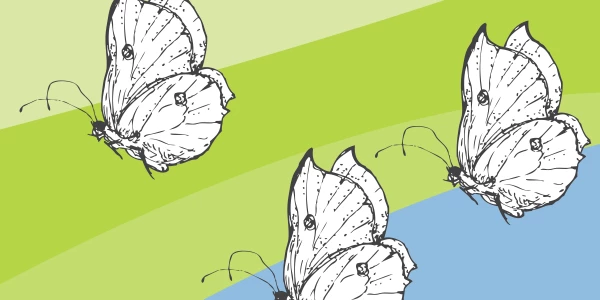 Trauma-informed care in practice