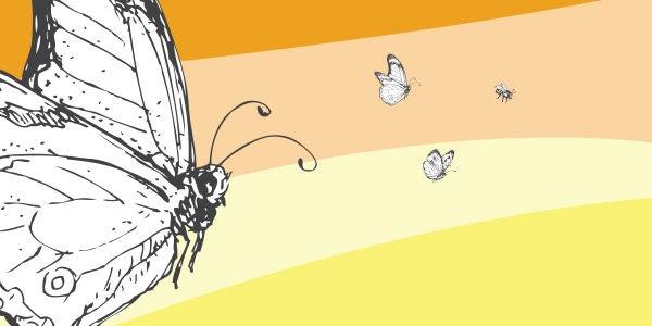 The relationship between trauma, mental health, and AOD use