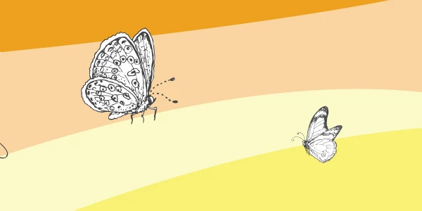 Conversations about trauma