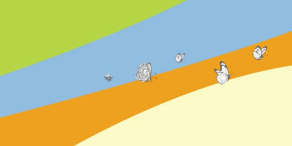 From Insight to action: Launching the trauma-informed care and practice toolkit