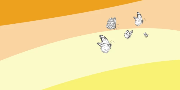 Applying a trauma-informed lens with priority populations