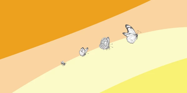 Building emotional awareness and regulation