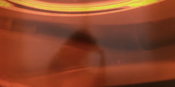 AOD and DFV with victim survivors