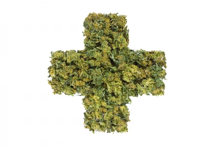 The evolution of medicinal cannabis use in Australia