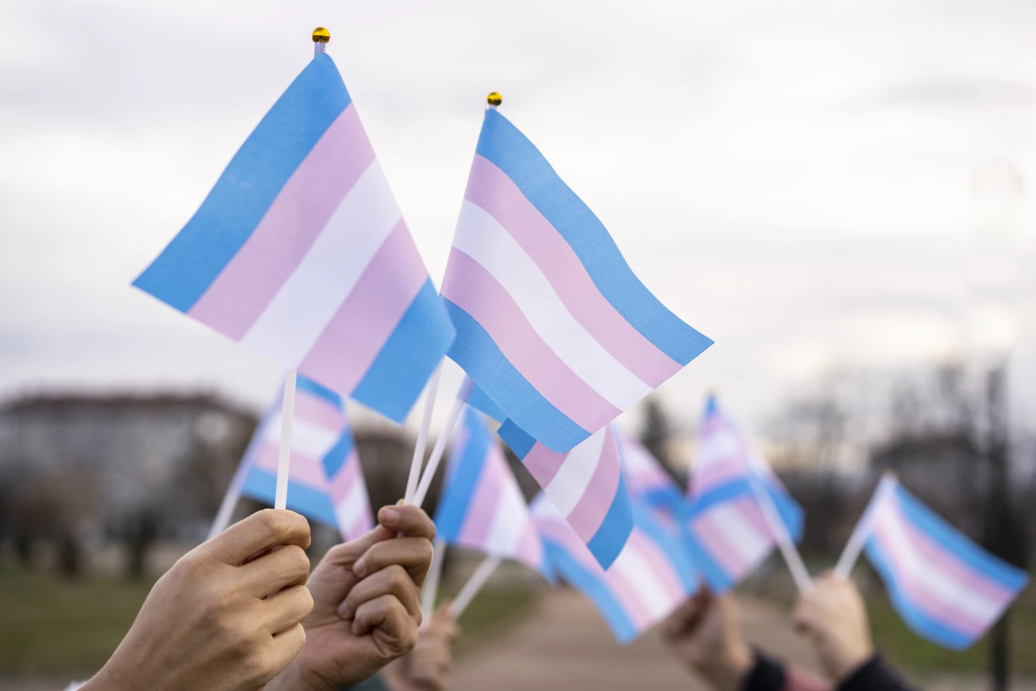 Do you work with trans or gender diverse peoples aged 18 and over? AOD survey call-out for trans or gender diverse peoples aged 18+