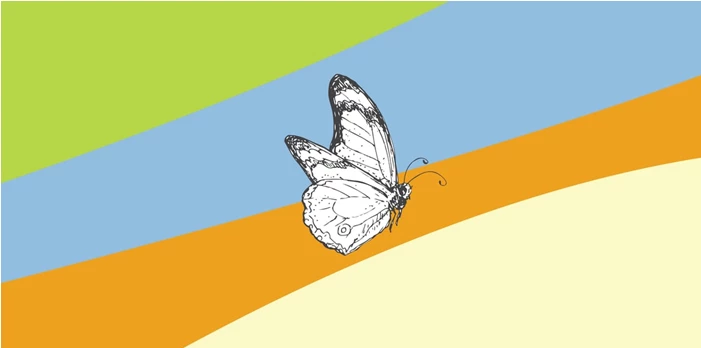 Insight's new Trauma Informed Care online training package out now!