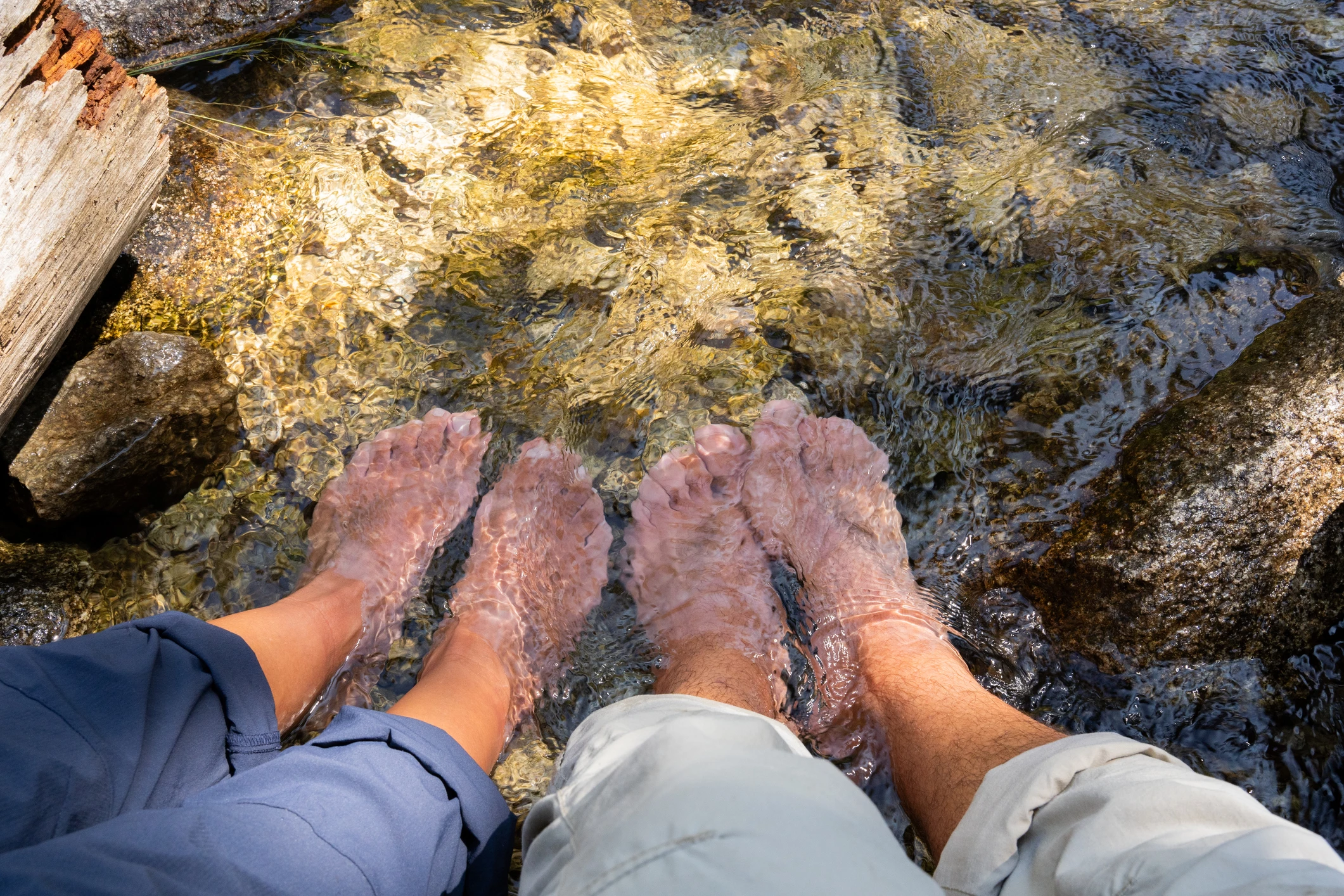 Recorded webinar - The intersection of AOD use in the context of DFV