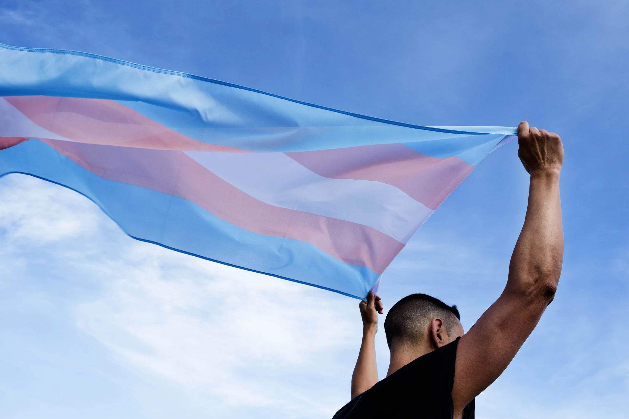 Trans Day of Visibility: 31 March 2026