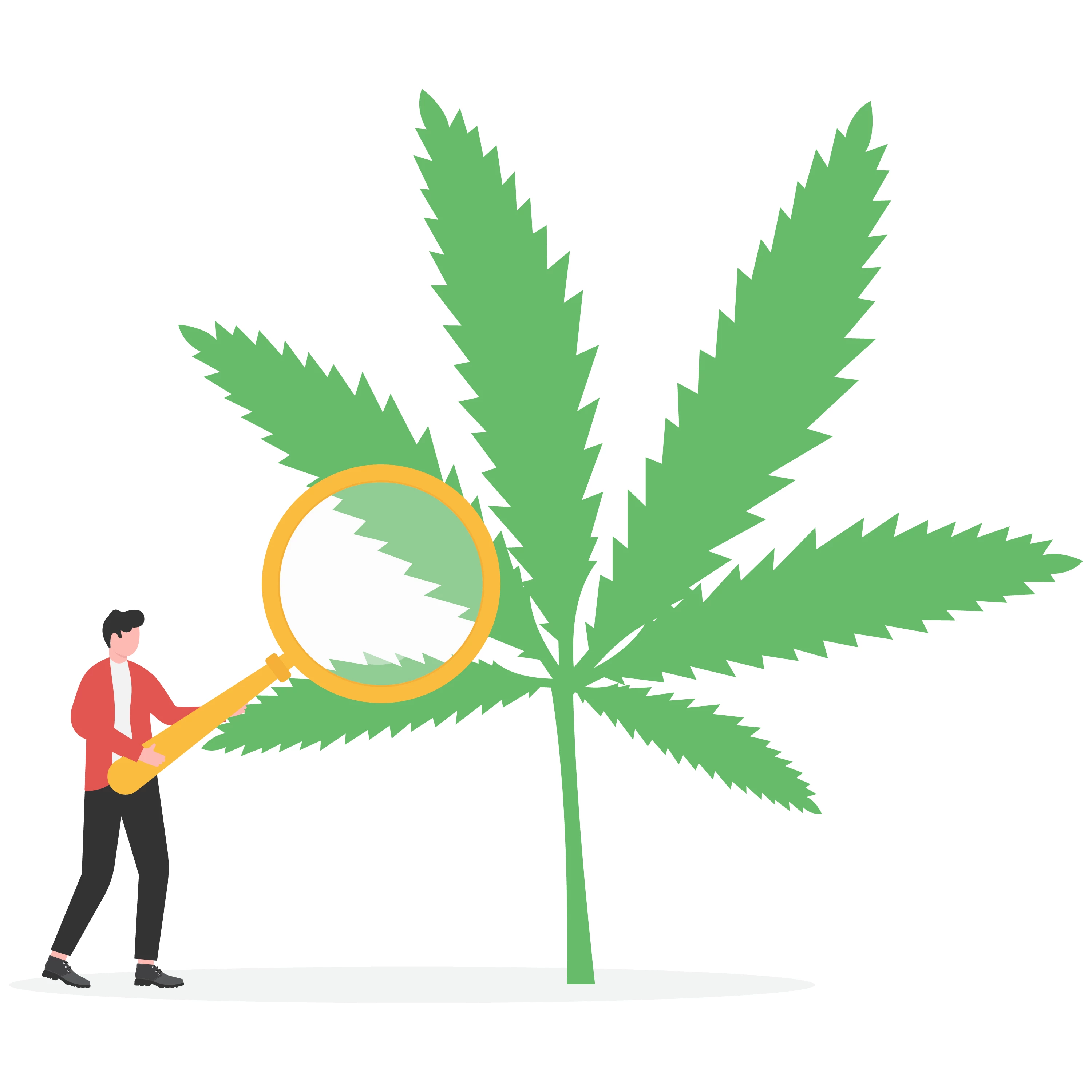 Research paper reviewing psychometric properties of assessment and screening tools for cannabis use disorder