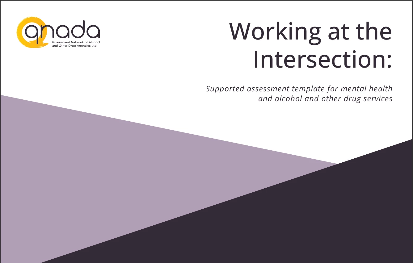 'Working at the Intersection: Supported Assessment Template for Mental Health and AOD Services' in working with DFV