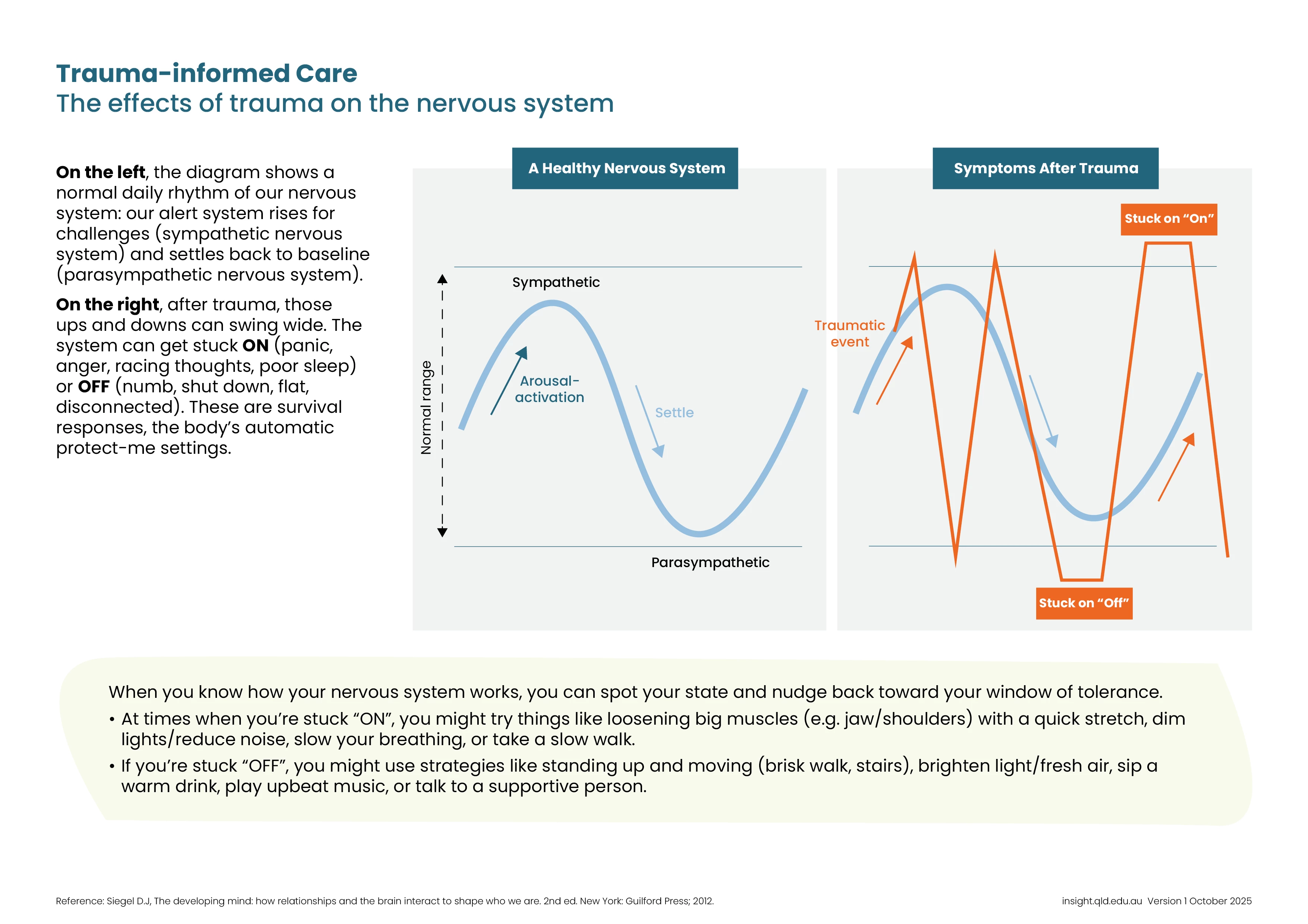 The effects of trauma on the nervous system