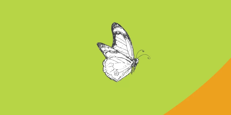 Foundations of trauma-informed care