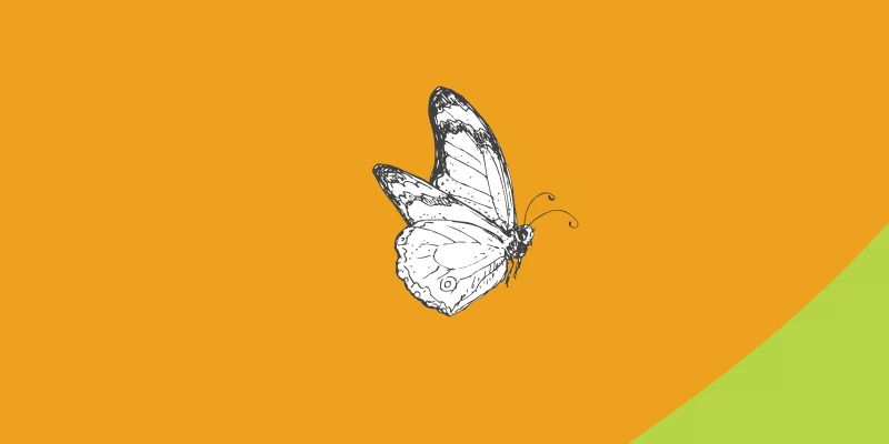 Applying trauma-informed care in practice